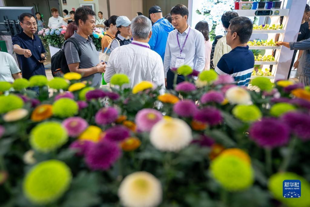 棋牌送十元